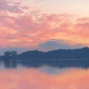 Meet your Posher, Ellie